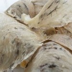Giá Tổ Yến Thô DLM